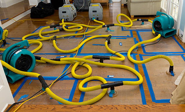 Professional Emergency Water Removal technician working in Harrisburg, MO